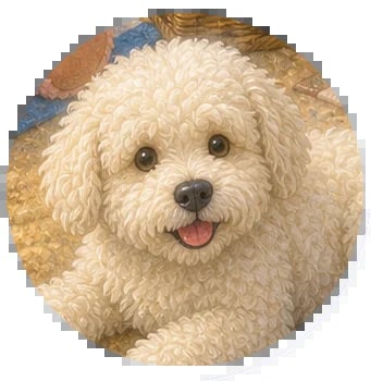 Portrait of a small cream-colored poodle or poodle mix with curly fur and a pink tongue
